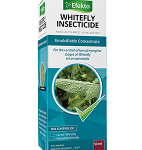 Efekto Whitefly Insecticide