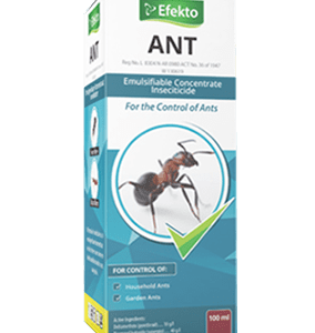 Efekto Ant
