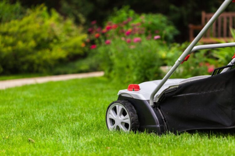 Basic garden maintenance services