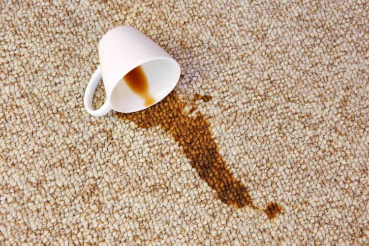 After party cleaning services