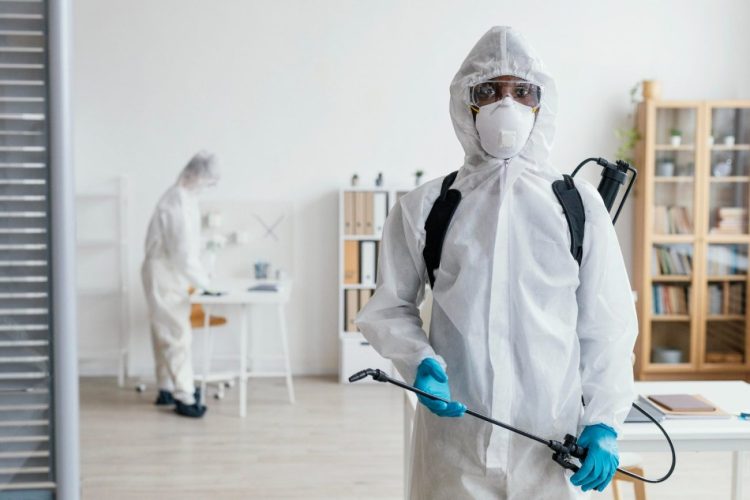 WhyProfessionalPestControlServicesareVitalforHomes