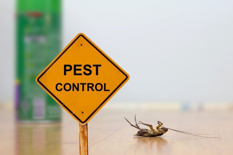 Pest Control Services by Rent A Gardener in Gauteng