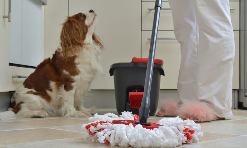 HOUSE CLEANING SERVICES - NO SUPERVISION REQUIRED