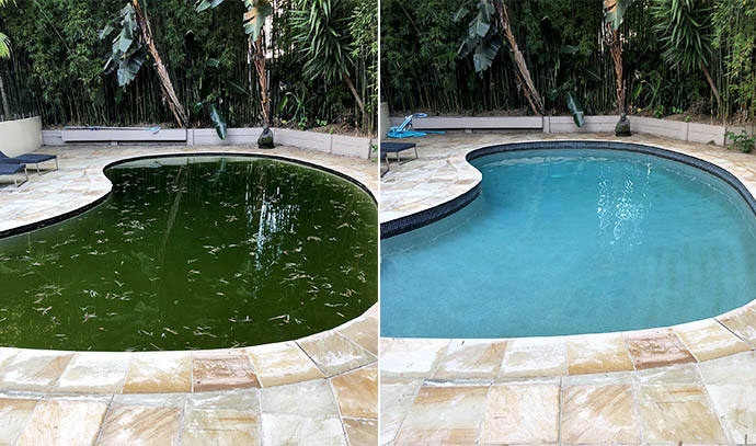 Green to blue pool in less than 2 days Turn a green pool into blue pool in less than 2 days