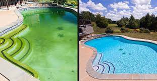 Green to blue pool in less than 2 days Algae invested green swimming pool