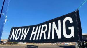 Direct Employment: Responsibilities to Consider by Rent A Gardener in Gauteng