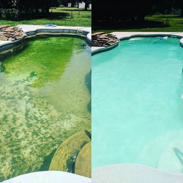 Once off swimming pool clean-up
