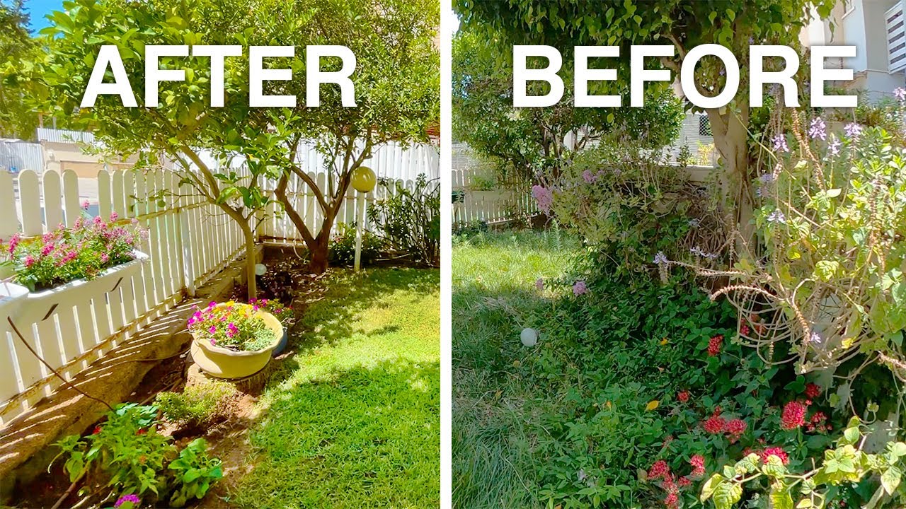 Once off garden clean up of an overgrown garden cleaned up in less than a day.