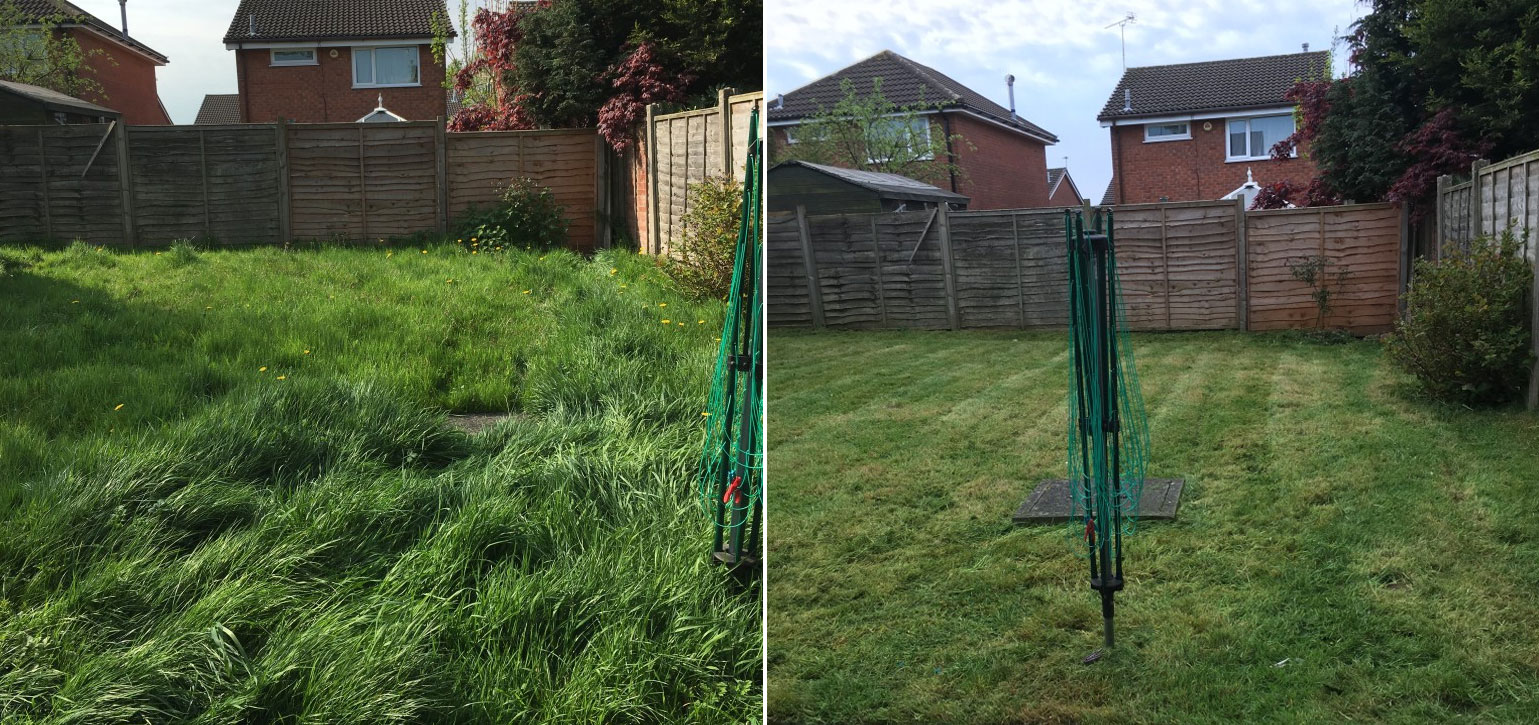 Once off garden clean up of an overgrown garden cleaned up in less than a day.