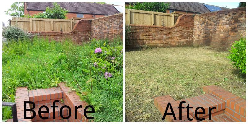 Overgrown garden cleaned up in less than a day.