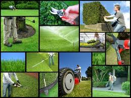 Commercial Garden Maintenance by Rent A Gardener in Gauteng