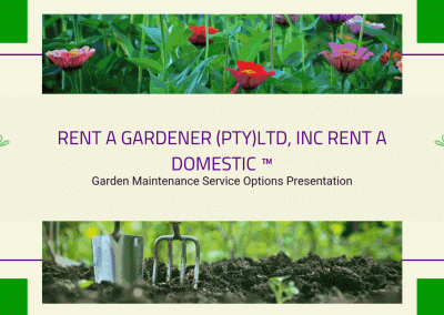 Garden Maintenance Service Options