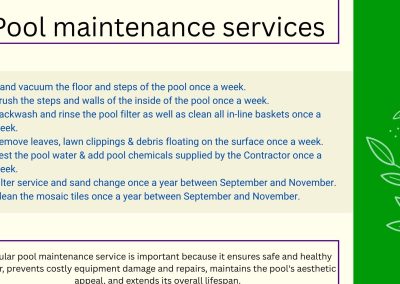 Pool maintenance services only