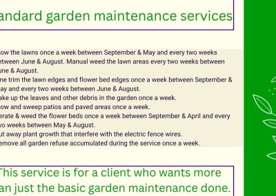 Standard garden maintenance services